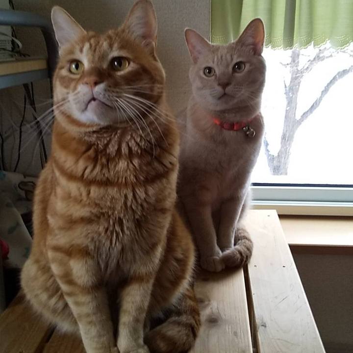 A8b774ec f616 497e afd2 bc1670d73a62 1609416102348