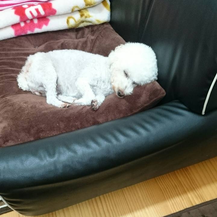 A8b783fe c0ef 4030 9e43 d4dd08680630 1509275561962