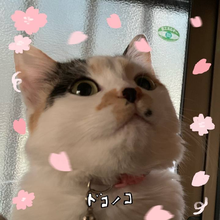A8b7a8bf c4a6 41c6 be09 54b92ec8fff1 1744304489758