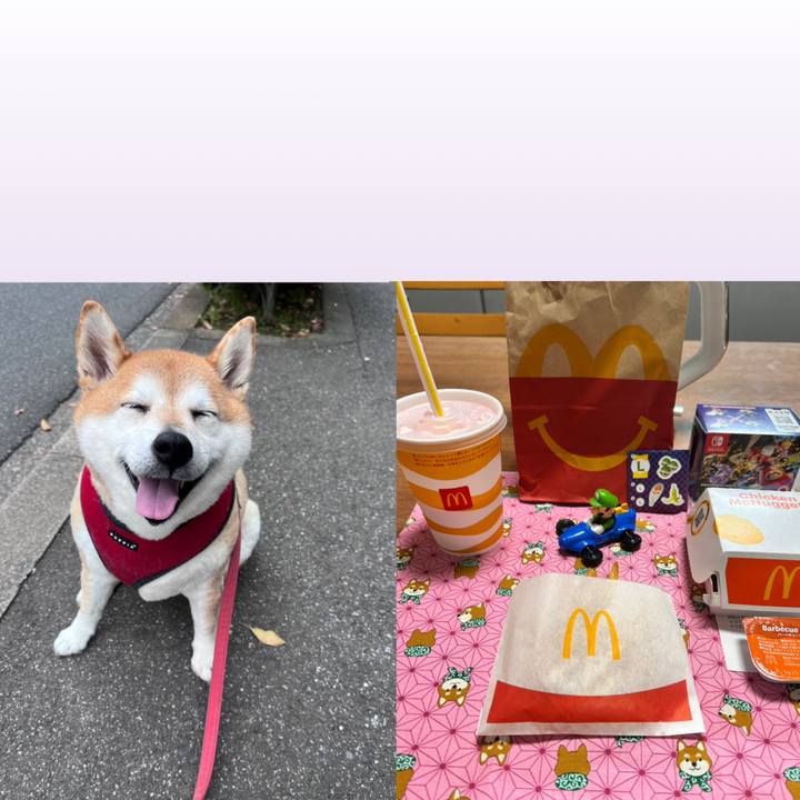 A8b7b42a 5c24 4adc 937f 20cc8a04fa3e 1731800737161