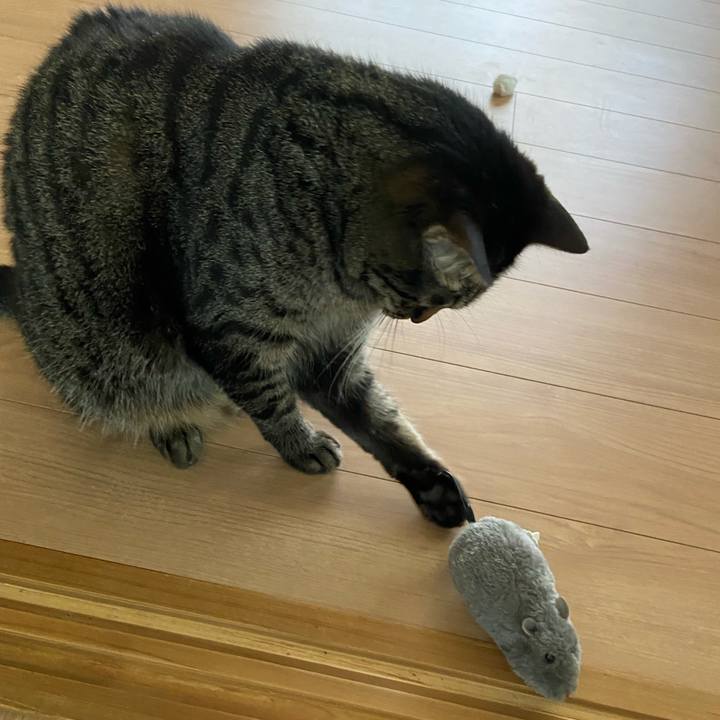 A8b7eecd 4000 4165 8d75 a158e6732bb4 1684669849171