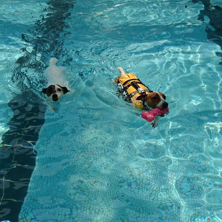 A8b7f820 8b50 48c9 8217 f2f0fd63ea91 1560927849129