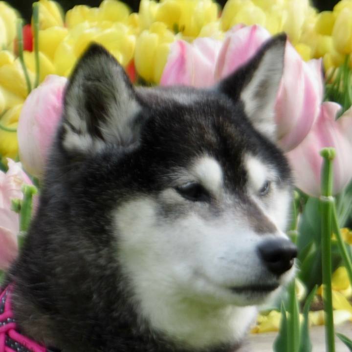 A8b81eef 8f42 4427 99f6 69c2208c311c 1746346596096