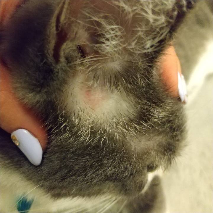 A8b81f6d 0be5 4d40 826b ca0bbe4e1109 1629201085006