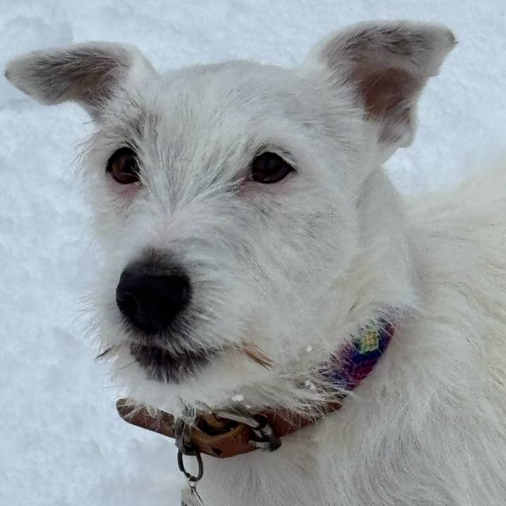 A8b82921 38c8 4d82 9515 5009c17e84a2 1769735181200