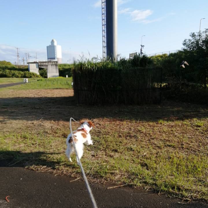 A8b84b51 bff7 47c3 9993 29f06b052e2b 1601511391776