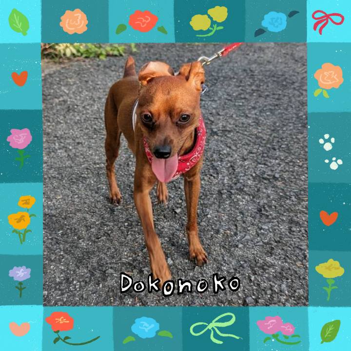 A8b84ee8 c91a 4119 ab4b c0fd84c89830 1715225236163