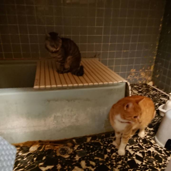 A8b86994 fdd8 4e89 b4ef 2c2ba7a606e0 1571218791236