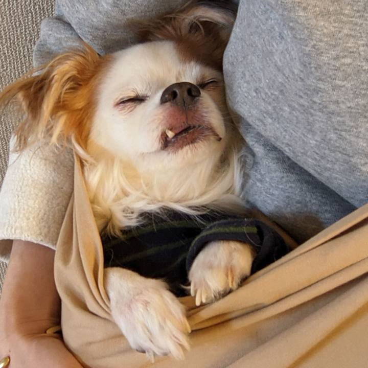 A8b8a045 6e20 43c3 b2bd 207528579e6c 1639193940801