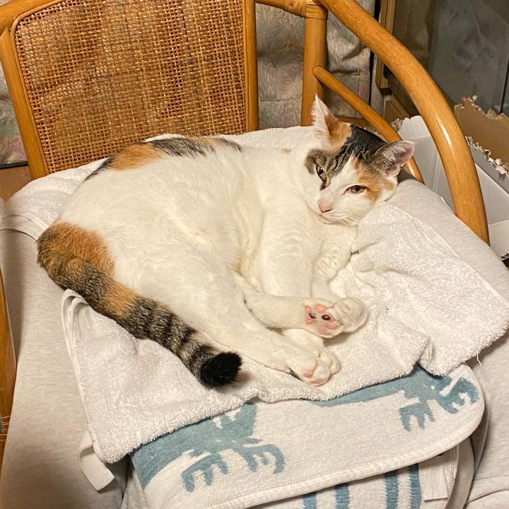 A8b8a914 5d4e 4381 adb6 177e05b659d5 1766304066958