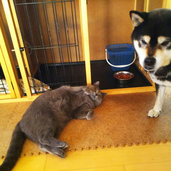 A8b8aea6 ab70 4e75 abbe 8b3a7990cfa7 1515483556815