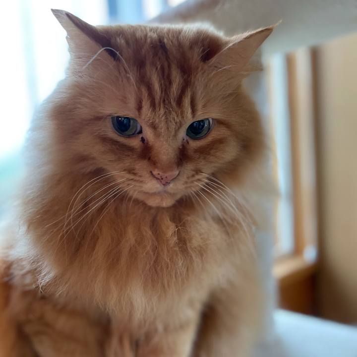 A8b8b034 205c 4aeb a90e b20e956d609e 1632686633454