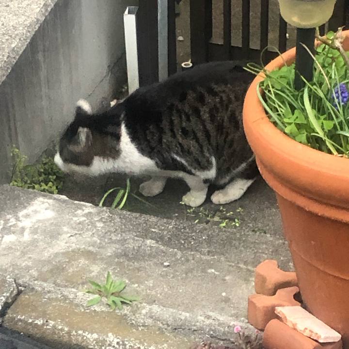 A8b8d28c a969 436b af1a d6d9dd4303b7 1554554704712