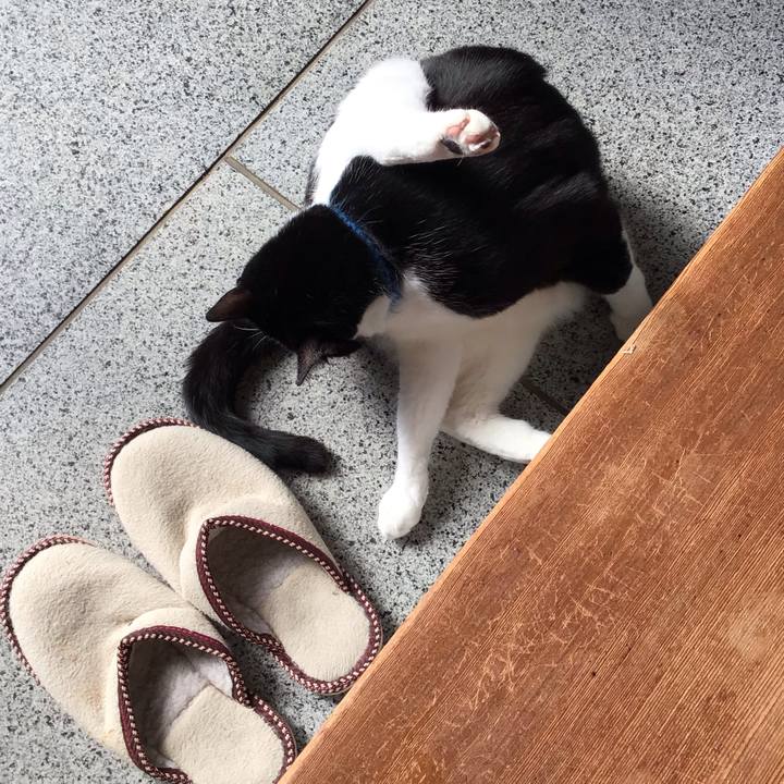 A8b8de84 7e6b 423a 8484 713be94fa3fe 1706699510524