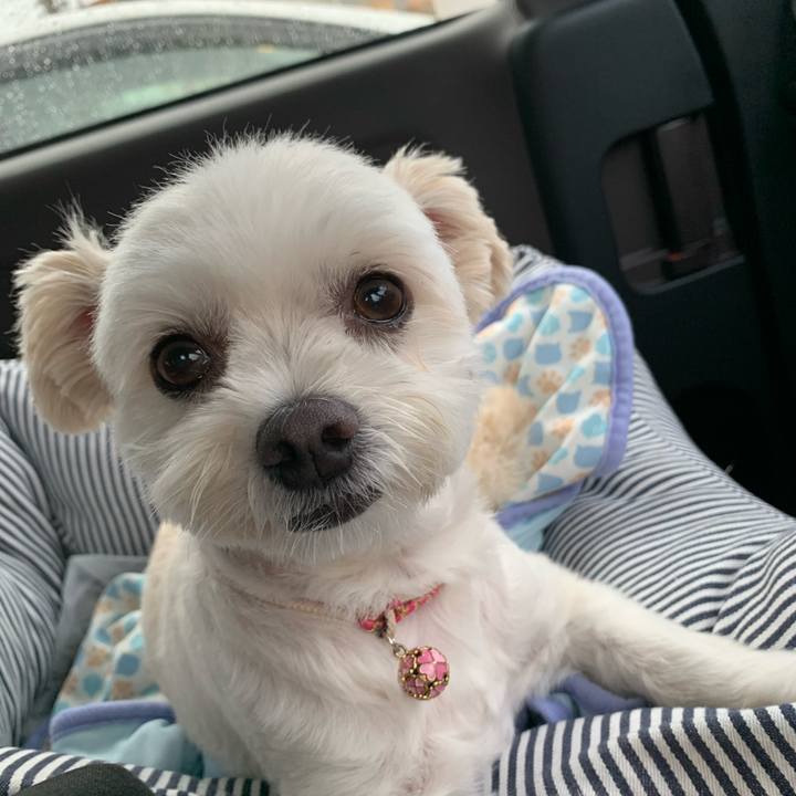 A8b93caa c7b8 49ed 9742 e4e2f28fce3f 1629370661163