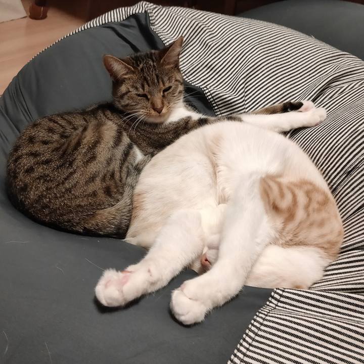 A8b94f83 65f6 4c39 85b0 538fec4e7c5a 1678097507226