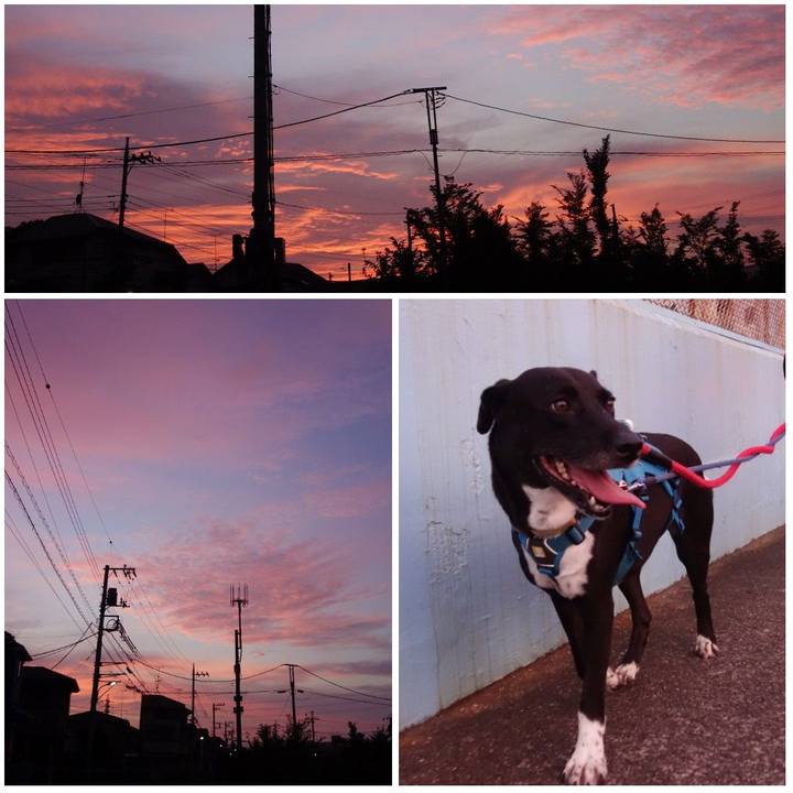 A8b97482 2b5b 44b4 9a77 a37a082da0a5 1627296726808