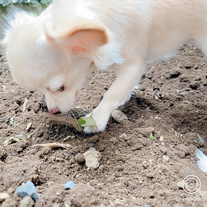 A8b986c4 66b4 429c a260 720139de8952 1600750924037