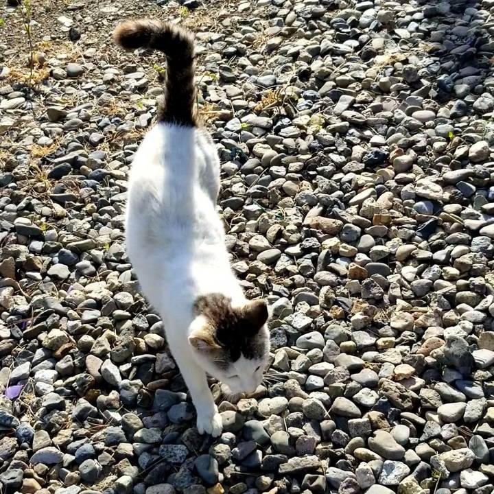 A8b9b384 a701 4333 afe0 1a573deb449e 1685187269576