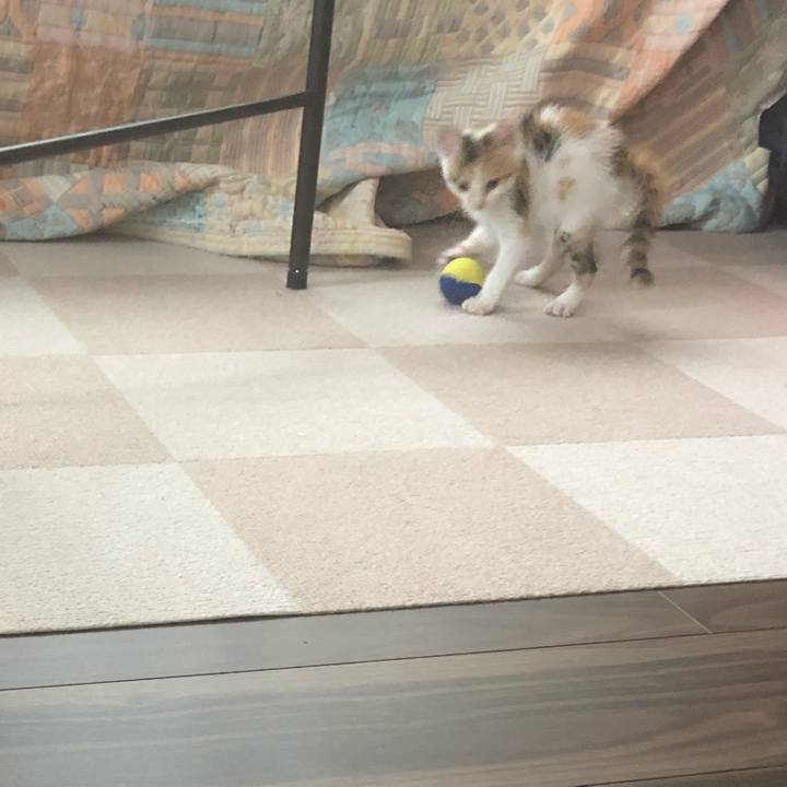 A8b9f033 05b6 4c80 a09f 93fc347e8b2c 1560580521540