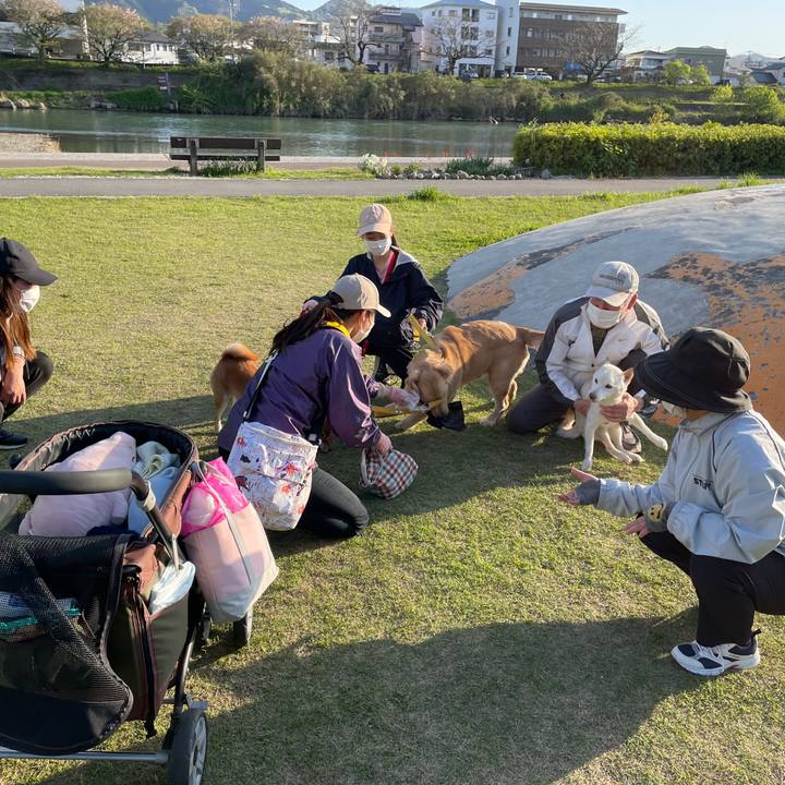 A8ba615d 9e20 4c48 82c8 09fc8f291f06 1681037067775