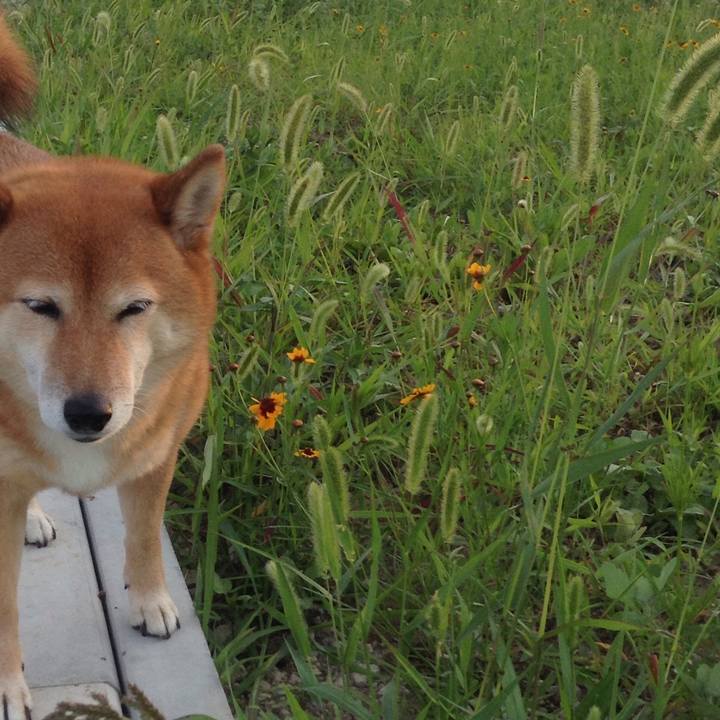 A8ba8015 cb6b 4b1a 8b89 afddad157e76 1529407614643