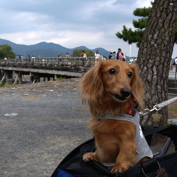 A8ba8b98 7d0f 4259 ab55 07dc8913edba 1634394198684