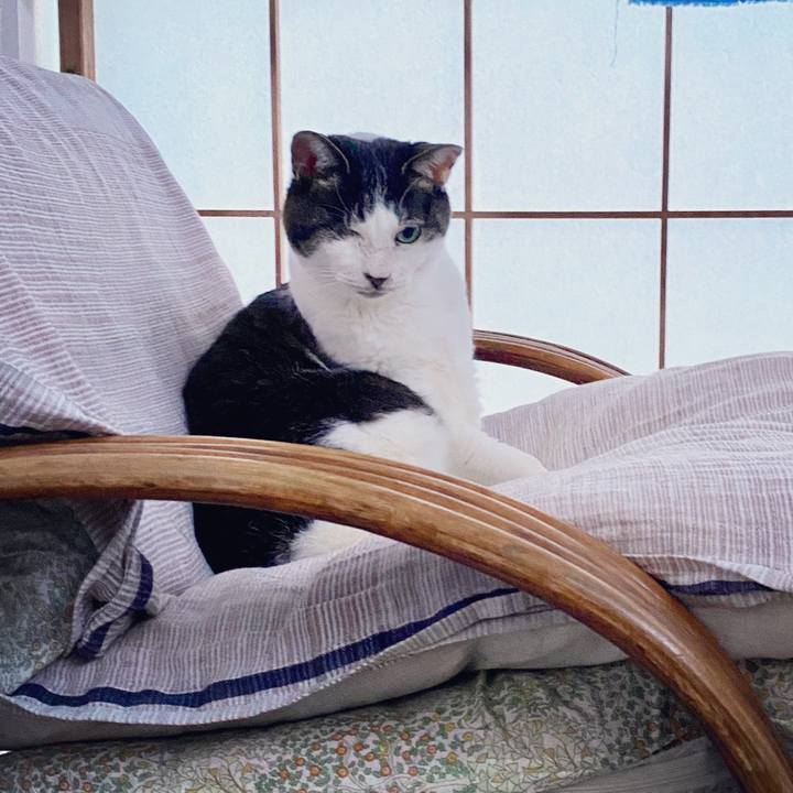 A8ba8ef2 b50b 4869 8c12 1713fdd2efd3 1588845156555