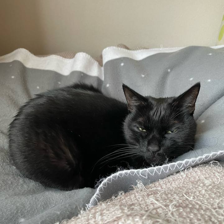 A8bab93e d624 4b87 9aa7 1d84bdecb628 1675771514241