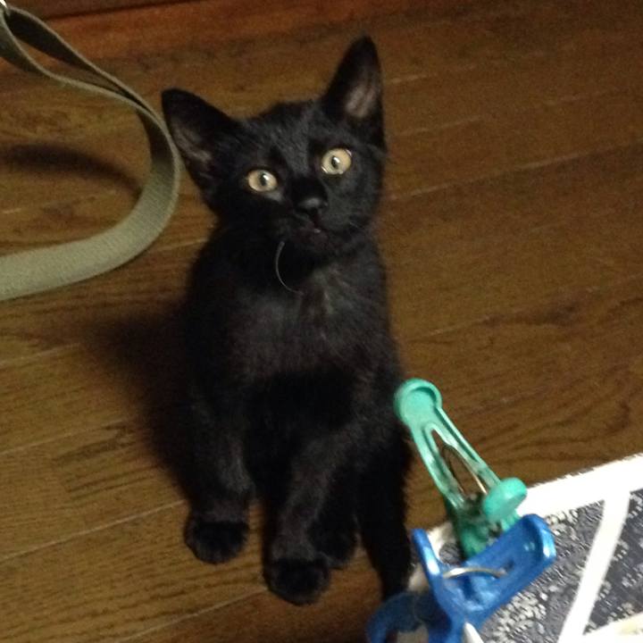 A8bacb6f 67a0 4162 80ae b403ada22d58 1508398594041