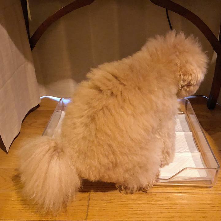 A8badee2 0f76 4ba0 932b d404dfd4f2b7 1534226046359