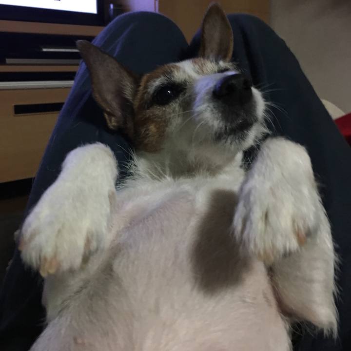 A8bb0036 8819 4f2b a43a 403f2a752daf 1571196903718