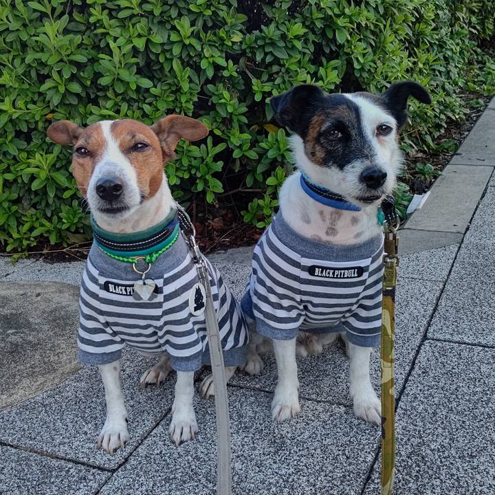 A8bb33a8 e86a 4760 87df df9b7de1bd6c 1697493655933