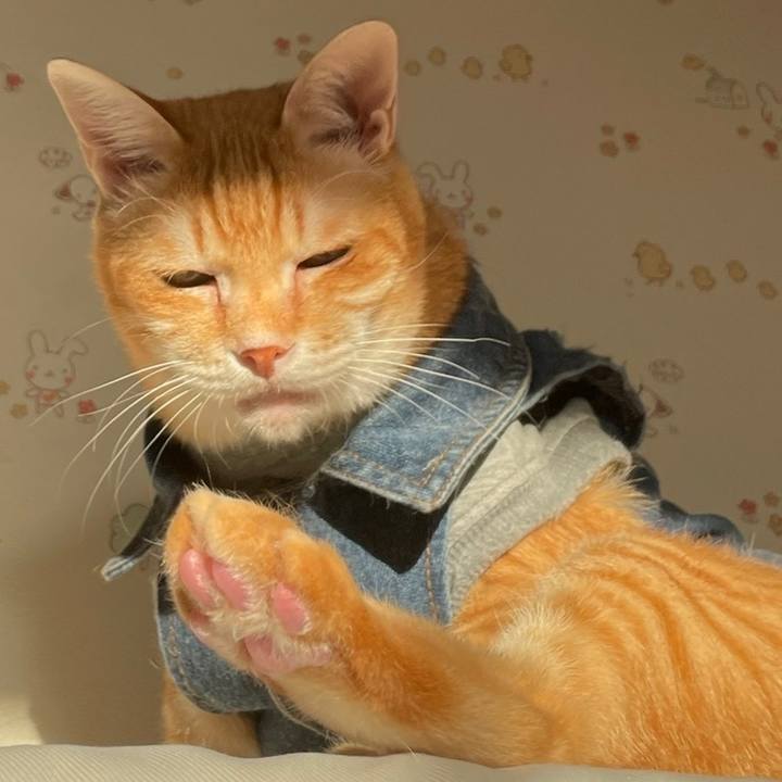 A8bb7787 5a9e 48e4 8e2e a6a5febfa6eb 1646213096442