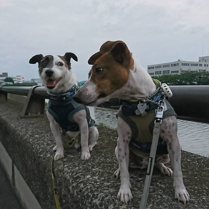 A8bbb9a0 58cd 480b b142 46056465c718 1592730652711