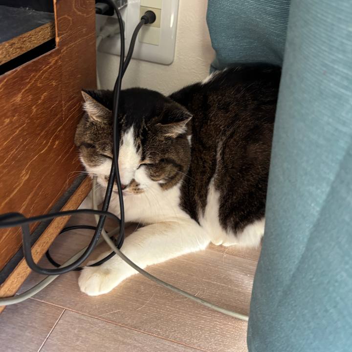 A8bbc0db 256d 4826 85a3 948d532c4654 1764989985955