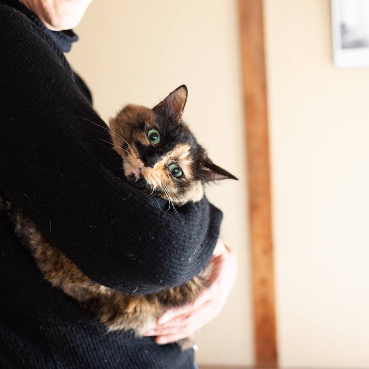 A8bbd480 efa0 4c59 9128 c03ccee739e0 1575937469361