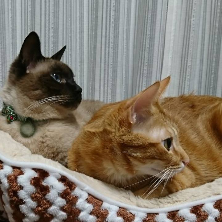 A8bbeff1 c447 4097 9f99 2b3d80bc508b 1512651329437