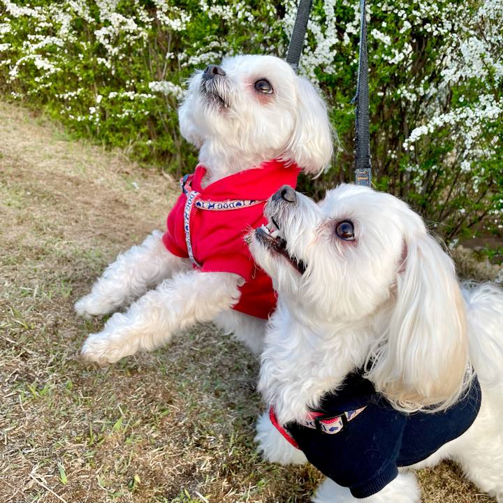 A8bbfa6d 73aa 4802 ae57 8f7e399420c3 1616034513243