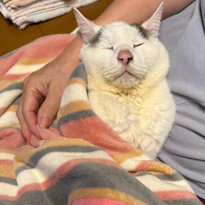 A8bc0694 69f5 46be 99ca 84c47d48c17f 1766151495383