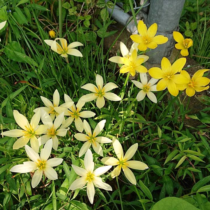 A8bc1005 fbf8 4b9f b092 61a644429b30 1661382742075