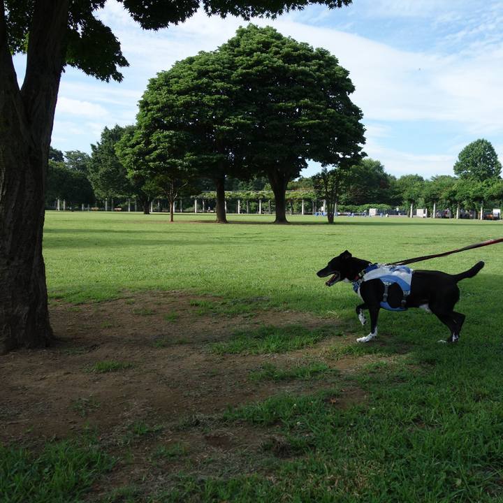 A8bc4db1 7475 4f69 b609 31bebf37ef50 1720570441551