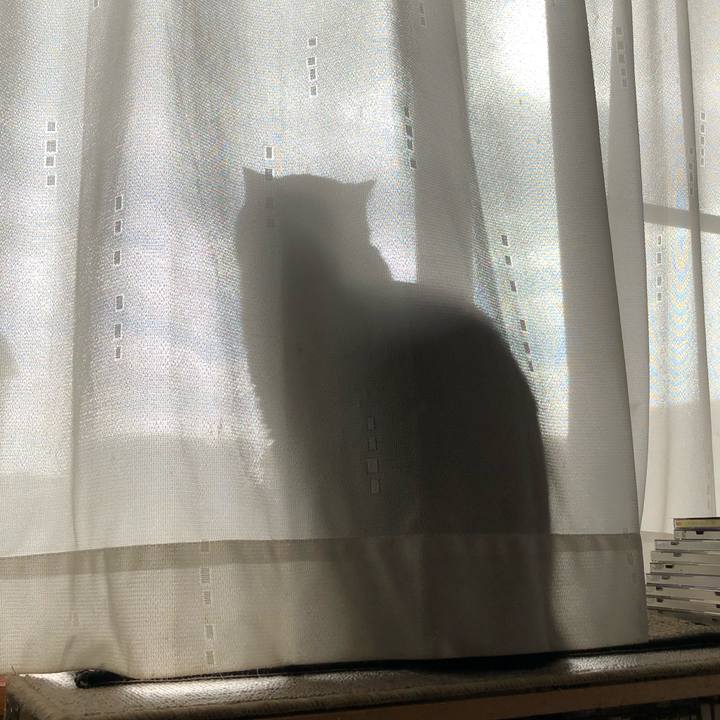 A8bc55dc ab8f 4567 8104 c80a15f9de89 1611631693668