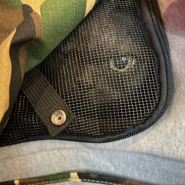 A8bc61e0 c203 41ae 8688 f1b48df56b74 1620634231949