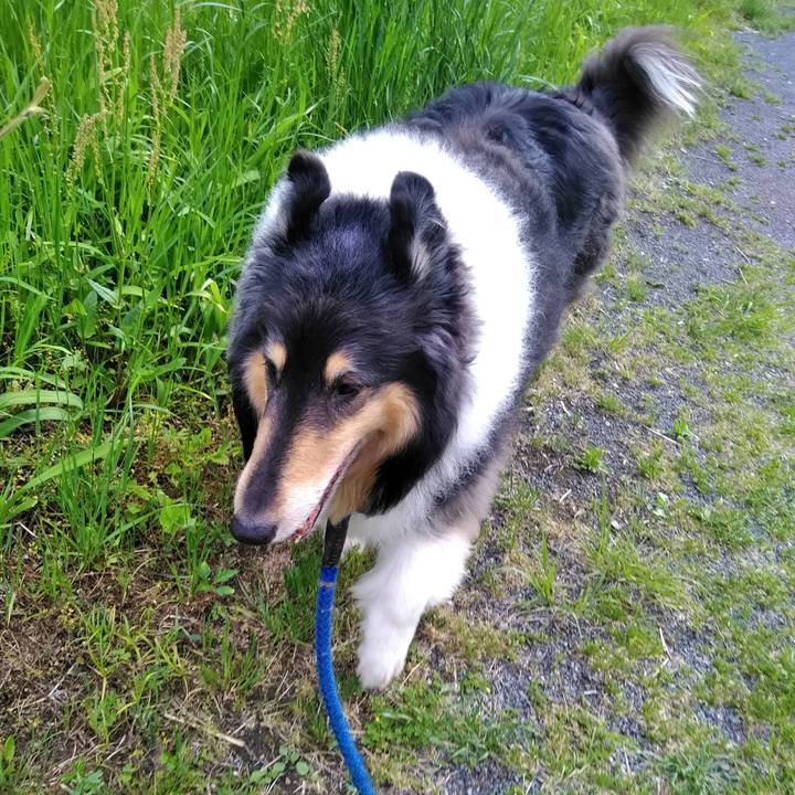 A8bcccb9 a399 43a0 8f99 c6c534c11e18 1524828118281