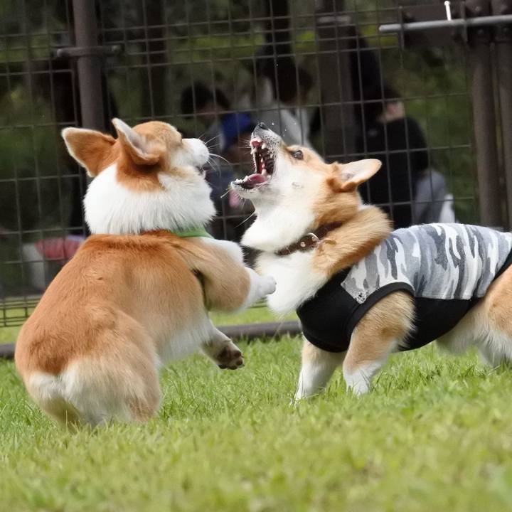 A8bcd562 af91 4d15 88da cec4e19c2fea 1537176852793