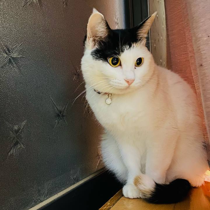 A8bd1620 cf2b 4083 994e 6f565a7ec792 1665834854046