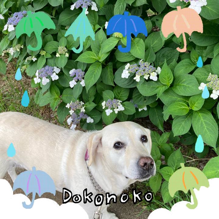 A8bd1c2a 7ff0 4471 b382 b26b5c3bf27f 1717720944392