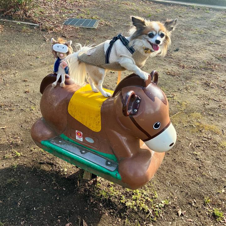 A8bd2d36 876f 4525 a303 cc9b2d18cc20 1767227596919