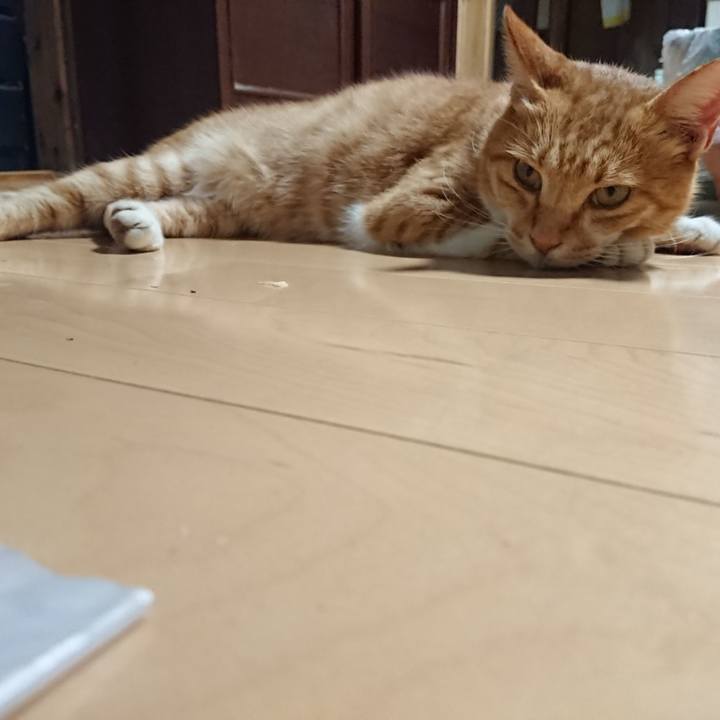 A8bd3463 697e 4588 8acf 497fd85abd9a 1597829352093